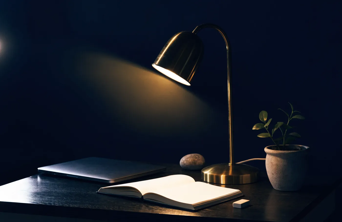 A tidy desk with a laptop and a small plant under warm light