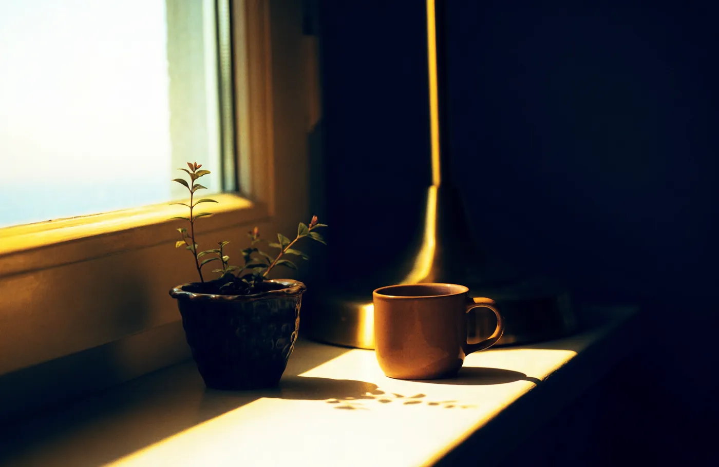 How to retire early