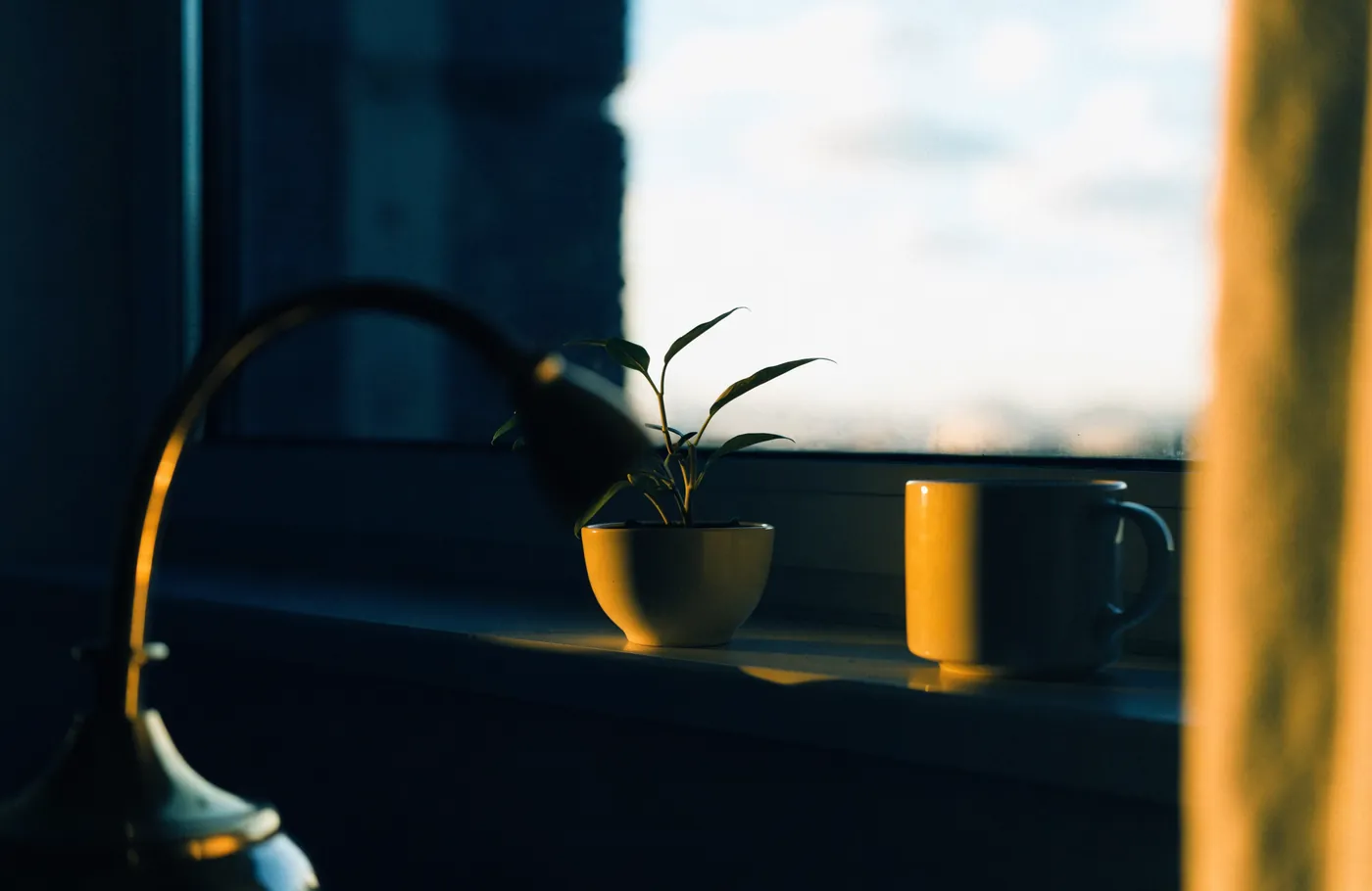 A calm windowsill with a plant and a mug at dawn